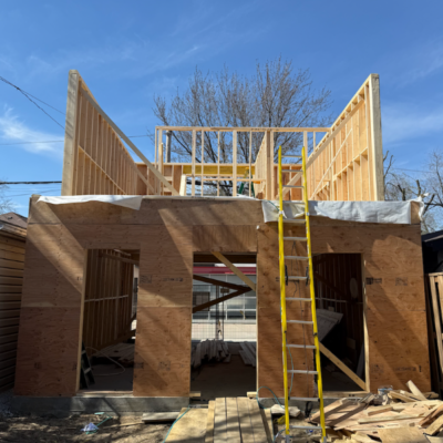 Laneway_Cardea Homes_168 Bedford